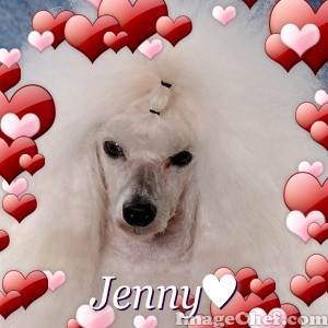 jenny-love.jpg